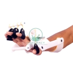 Dynamic Radial Palsy Splint With Finger Extension