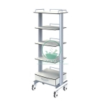Endoscopy Trolley